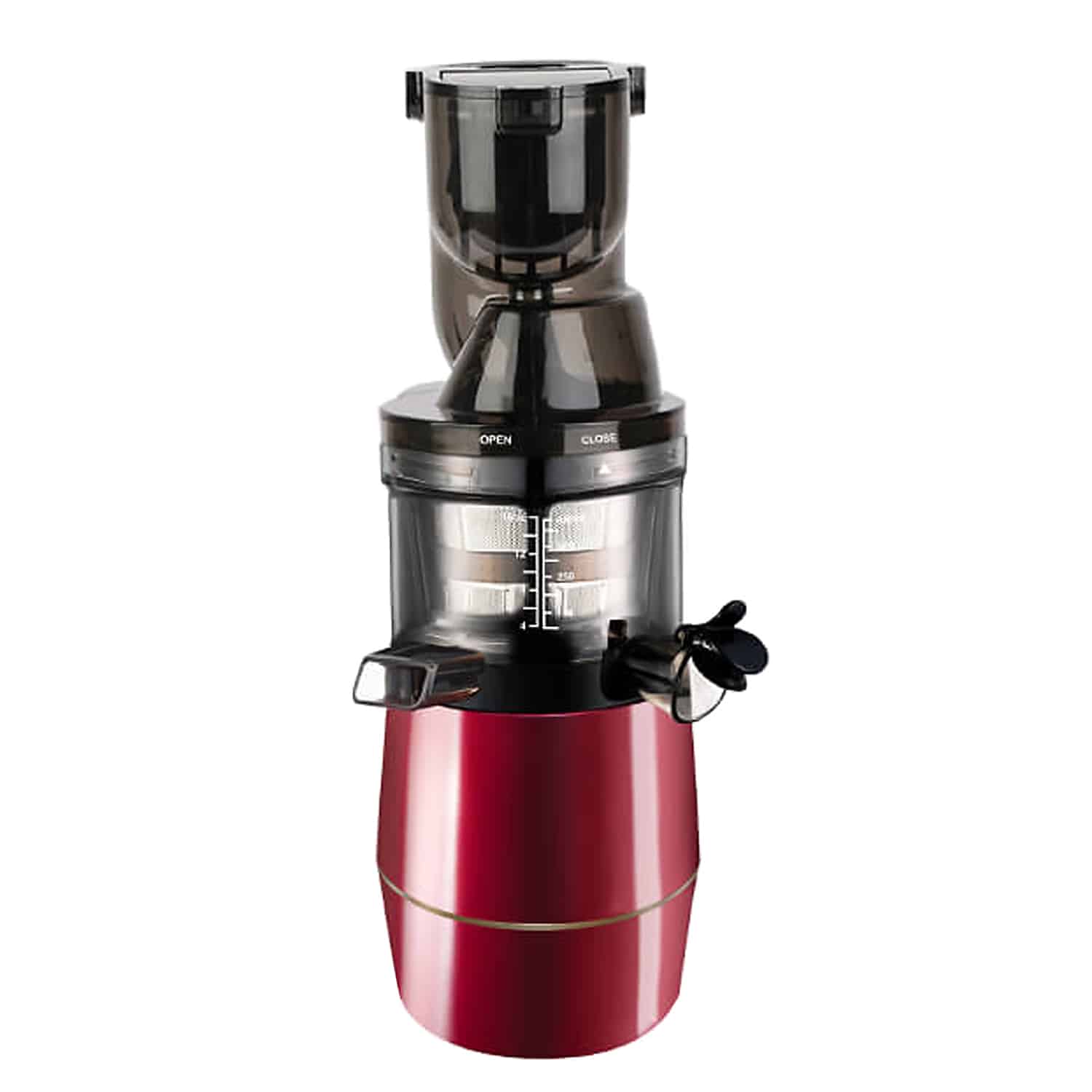 Zebra Whole Slow Juicer GrunePerlen