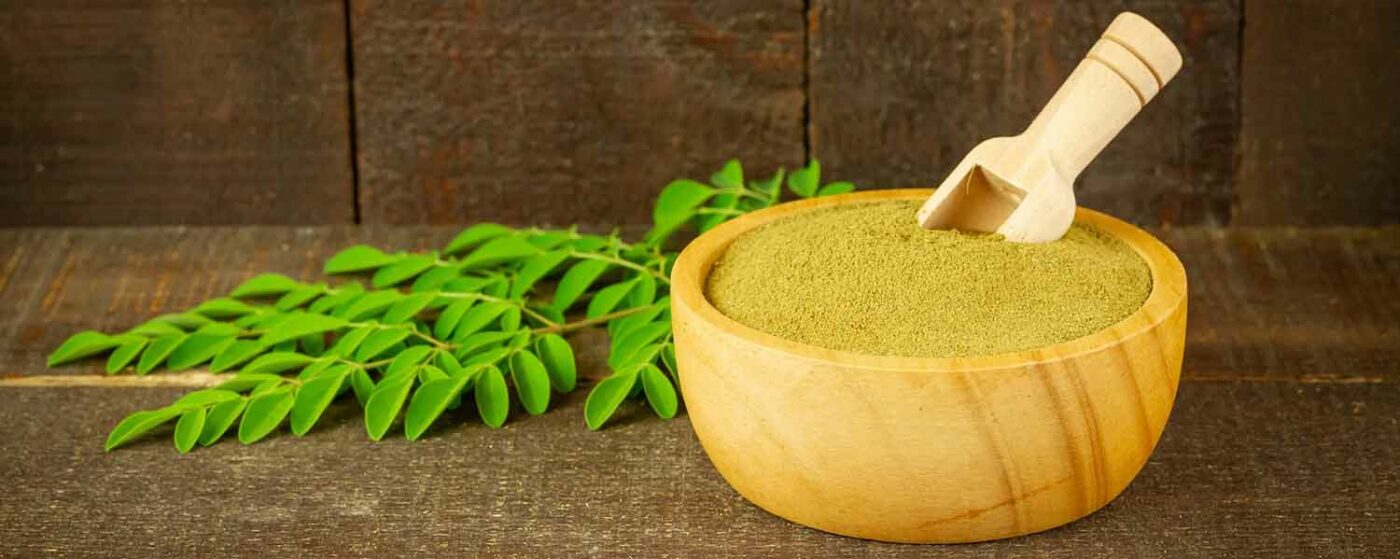 Beitragsbild Moringa Pflanze