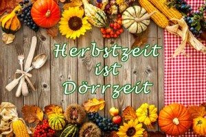 Im Herbst hat Dörren Hochkonjunktur