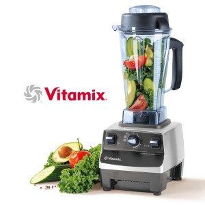 Vitamix Pro500