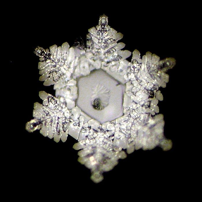 Wasserkristallbild vom Wasserkrug Cadus mit Lebensblume