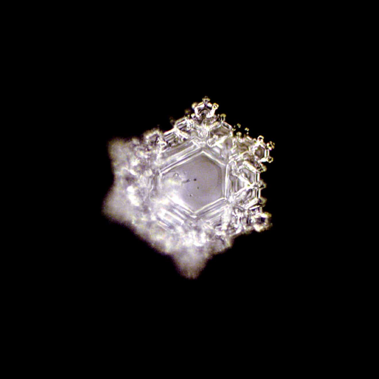 Kristallbild Natures Design Rotweinglas Calix