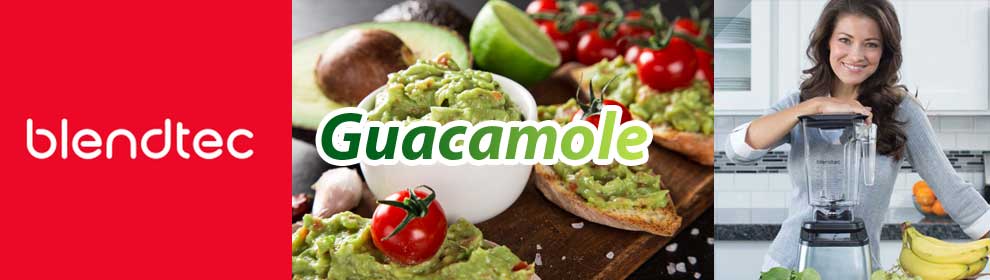 Guacamole selber machen mit dem Blendtec Twister Jar