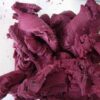 Sorbet