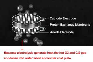 Schema-PEM-Elektrolyse-Anode-Protenen-Austausch-Membrane-Kathode