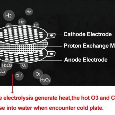 Schema-PEM-Elektrolyse-Anode-Protenen-Austausch-Membrane-Kathode