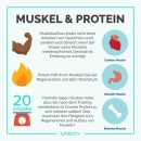 Protein für Muskelaufbau