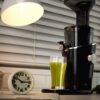 Hurom H-100 Slow Juicer 4. Generation