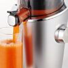 Hurom H-100 Slow Juicer 4. Generation