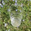 Wasserglas-Gallileo-gold
