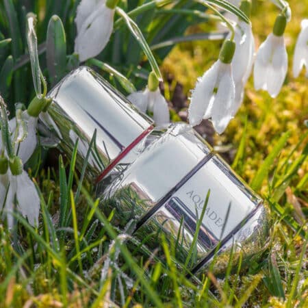 Aquadea Trinity Silber | KRISTALLWIRBEL® Wasserwirbler