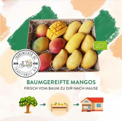 Truebenacker-mangos